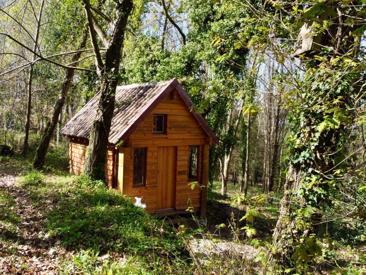 Associacao Quinta Das Relvas Branca Exteriér fotografie