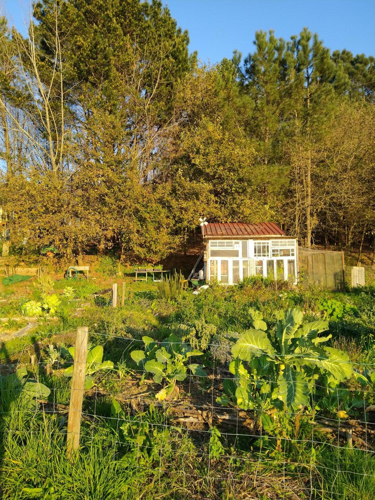 Associacao Quinta Das Relvas Branca Exteriér fotografie
