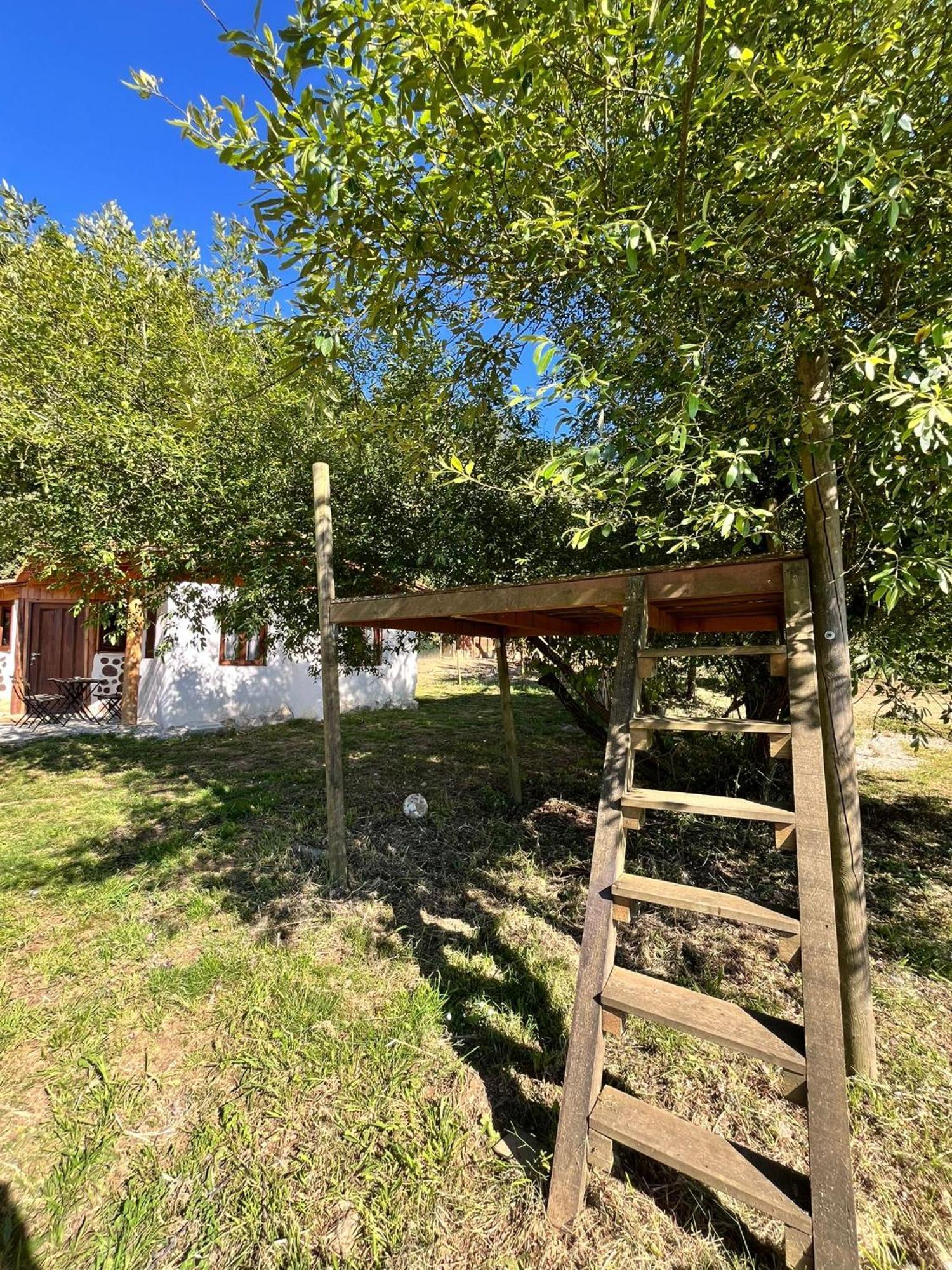 Associacao Quinta Das Relvas Branca Exteriér fotografie